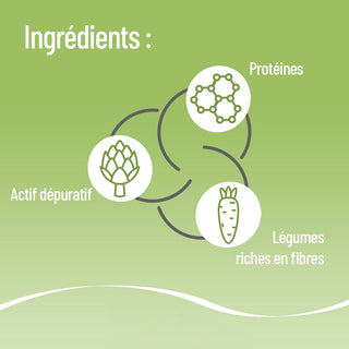 Soupe aux Choux & aux Légumes