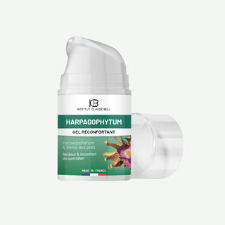 Harpagophytum – Gel Réconfortant